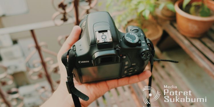 5 Kamera Canon DSLR terbaik Untuk Pemula Tahun 2024