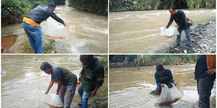 Restocking ikan upaya Diskan Kab. Sukabumi menjaga keseimbangan alam