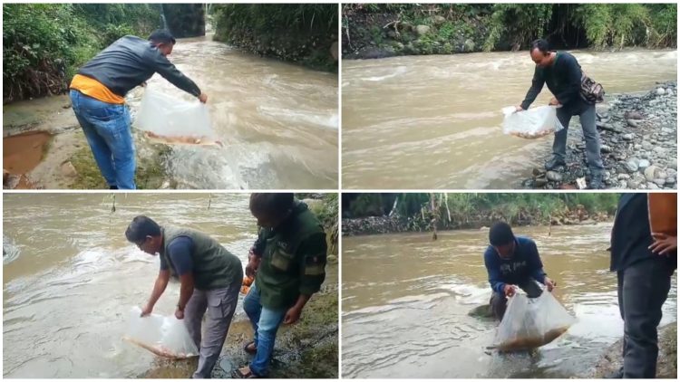 Restocking ikan upaya Diskan Kab. Sukabumi menjaga keseimbangan alam