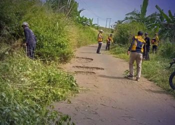 UPTD PU Ciemas Bersama Warga Bersihkan Bahu Jalan di Desa Mekarjaya Sukabumi