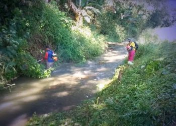 UPTD PU Cibadak Dukung Pertanian Lewat Pemeliharaan Irigasi Cialing