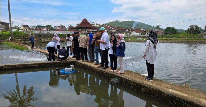 DIGITALISASI SEKTOR PERIKANAN BUDIDAYA