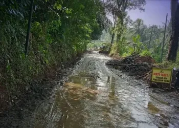 Pemkab Sukabumi Perbaiki Jalan Penghubung Jampangtengah–Purabaya, Anggaran Capai Rp 1,4 Miliar