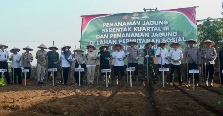 SUKABUMI SIAP JADI LUMBUNG PANGAN NASIONAL, PENANAMAN JAGUNG SERENTAK DILAKSANAKAN DI SIMPENAN