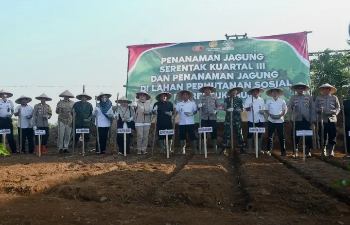 SUKABUMI SIAP JADI LUMBUNG PANGAN NASIONAL, PENANAMAN JAGUNG SERENTAK DILAKSANAKAN DI SIMPENAN