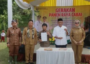 GERAKAN PANEN RAYA CABAI, WABUP: “KONSEP AGROWISATA DAN INDUSTRI AKAN SEJAHTERAKAN PETANI”