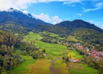 Destinasi Agrowisata di Desa Parungseah