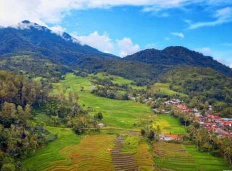 Destinasi Agrowisata di Desa Parungseah