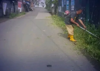 Dinas PU Sukabumi Lanjutkan Pemeliharaan Jalan dengan Babad Rumput di Ruas Cicurug–Cidahu