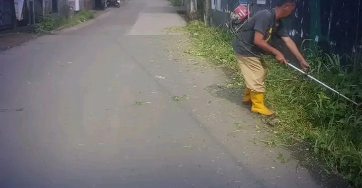 Dinas PU Sukabumi Lanjutkan Pemeliharaan Jalan dengan Babad Rumput di Ruas Cicurug–Cidahu