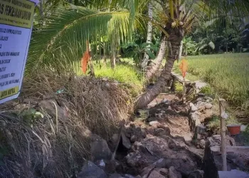 Dinas PU Sukabumi Bangun Irigasi Rp93 Juta di Cisolok untuk Dukung Produktivitas Petani