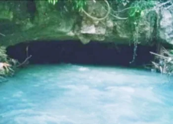 Wisata & Sejarah di Tenjojaya