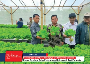 Peluncuran BUMDes Tenjojaya Berlangsung Sukses, Panen Perdana Talas Pratam dan Hidroponik Jadi Penanda