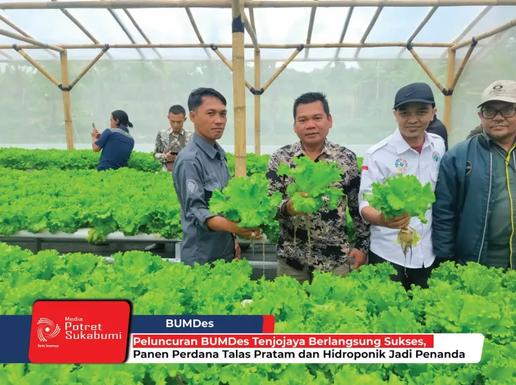 Peluncuran BUMDes Tenjojaya Berlangsung Sukses, Panen Perdana Talas Pratam dan Hidroponik Jadi Penanda