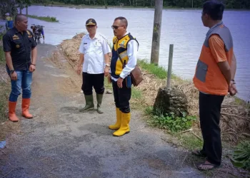 Dinas PU Tinjau Banjir Tegal Buled, Bupati Minta Data Akurat dan Penanganan Tepat