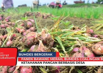 Panen Bawang Merah, BUMDes Cijalingan Buktikan Ketahanan Pangan Berbasis Desa