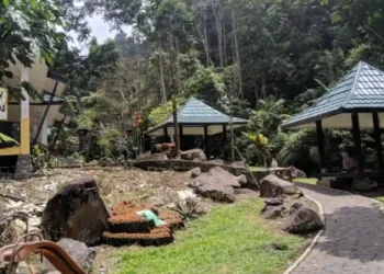 Pondok Halimun, destinasi wisata favorit wisatawan