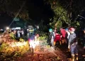 Damkar Sukabumi tangani pohon tumbang Palabuhanratu–Banten