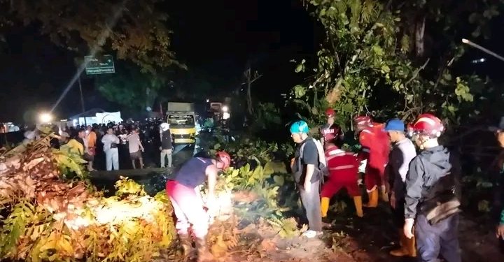 Damkar Sukabumi tangani pohon tumbang Palabuhanratu–Banten