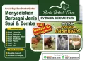 Rania Berkah Farm Sediakan Berbagai Jenis Sapi dan Domba Qurban, Tersedia Promo Cashback