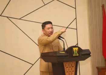 Wabup Sukabumi Dorong Akurasi Data untuk Percepatan Penurunan Stunting