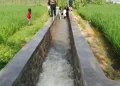 Dinas PU Kabupaten Sukabumi Tingkatkan Jaringan Irigasi Leuwi Bangga untuk Dukung Produktivitas Pertanian