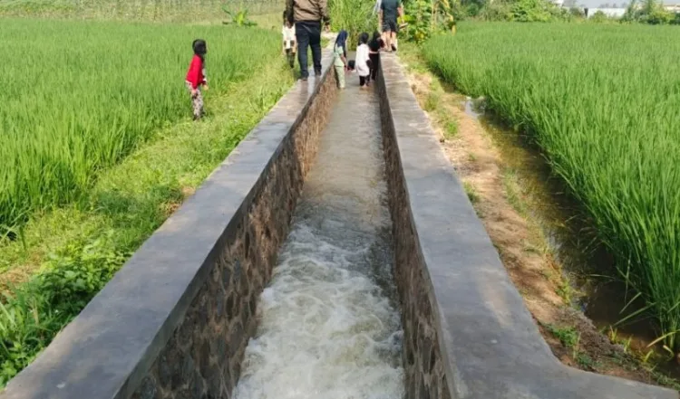Dinas PU Kabupaten Sukabumi Tingkatkan Jaringan Irigasi Leuwi Bangga untuk Dukung Produktivitas Pertanian
