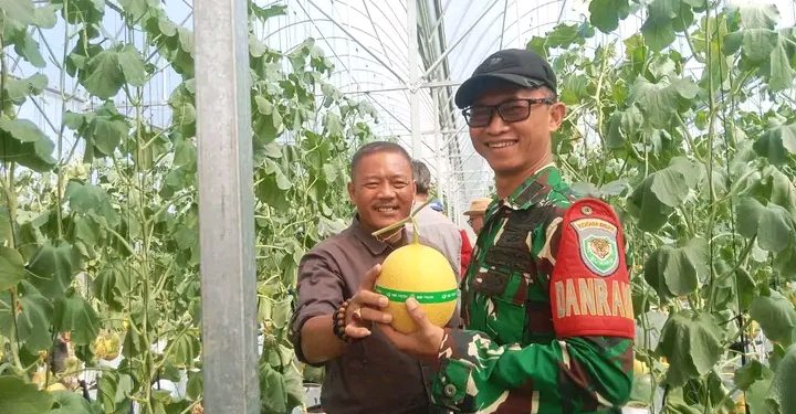 Wisata Petik Melon SAM FARM Greenhouse Diresmikan, Dorong Agrowisata Cisolok