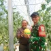 Wisata Petik Melon SAM FARM Greenhouse Diresmikan, Dorong Agrowisata Cisolok