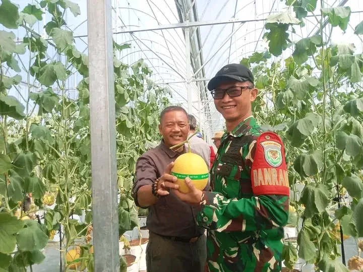 Wisata Petik Melon SAM FARM Greenhouse Diresmikan, Dorong Agrowisata Cisolok