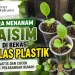 Cara Menanam Caisim di Bekas Gelas Plastik, Praktis dan Cocok untuk Pekarangan Rumah