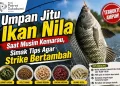 Umpan Jitu Ikan Nila Saat Musim Kemarau, Simak Tips Agar Strike Bertambah
