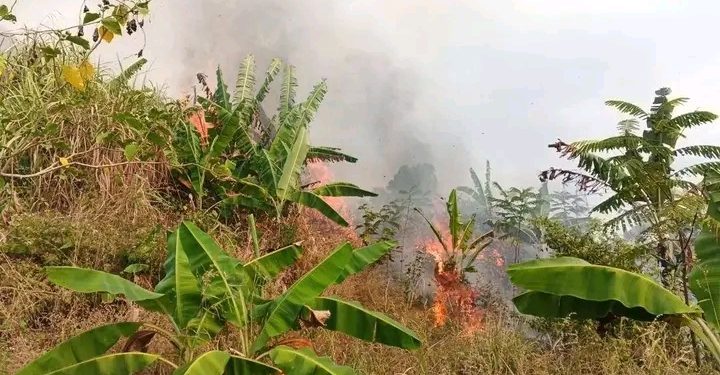 Kebakaran Lahan Dekat Gunung Jayanti, Disdamkarmat Berjibaku di Medan Terjal