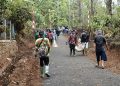 Pengaspalan Jalan TMMD ke-130 di Mekarjaya Rampung 100 Persen