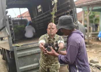 TMMD ke-130 Kodim 0622 Sukabumi Salurkan 500 Bibit Pohon untuk Penghijauan