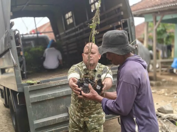 TMMD ke-130 Kodim 0622 Sukabumi Salurkan 500 Bibit Pohon untuk Penghijauan